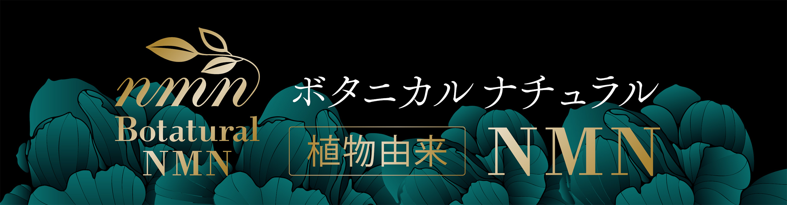 植物から始まるより美しい未来 ボタチュラルNMNシリーズ誕生！